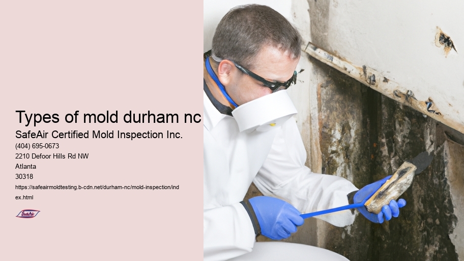 Types of mold durham nc