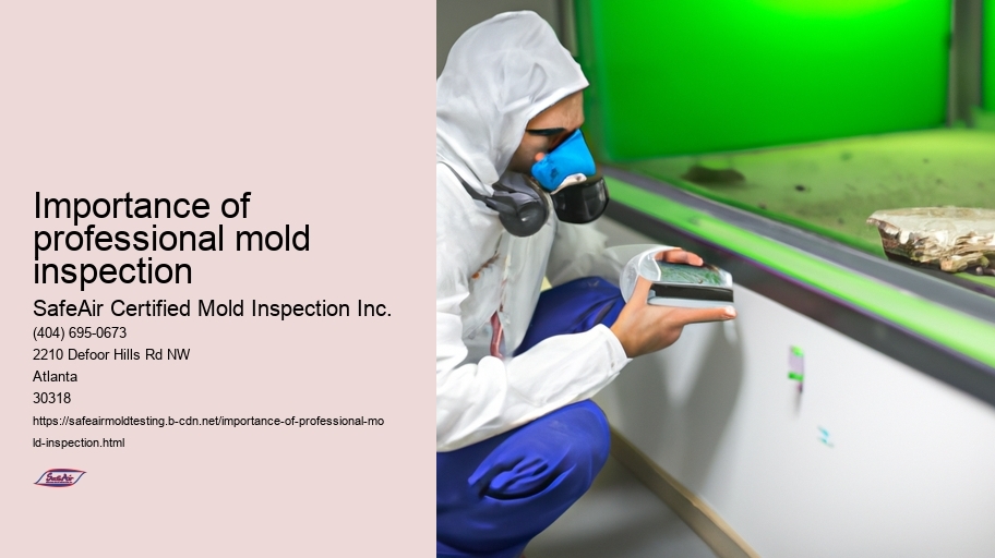 Importance of professional mold inspection