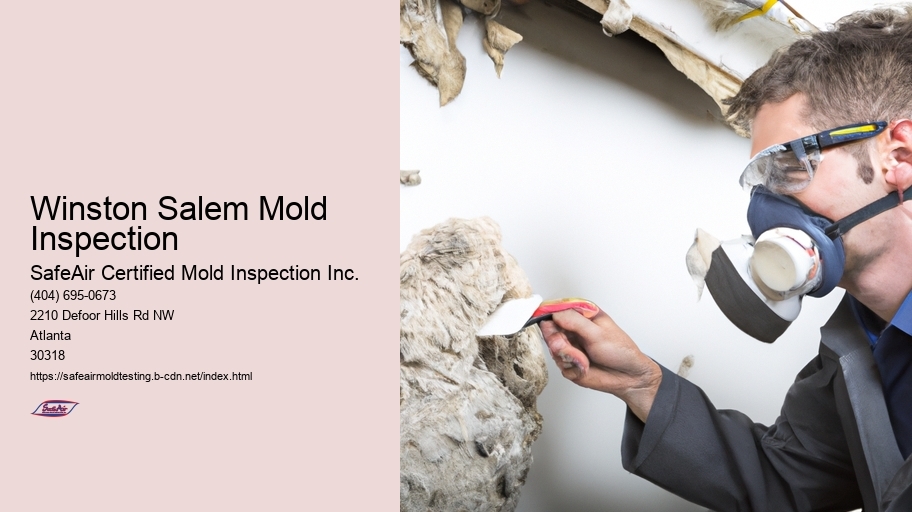 Winston Salem Mold Inspection