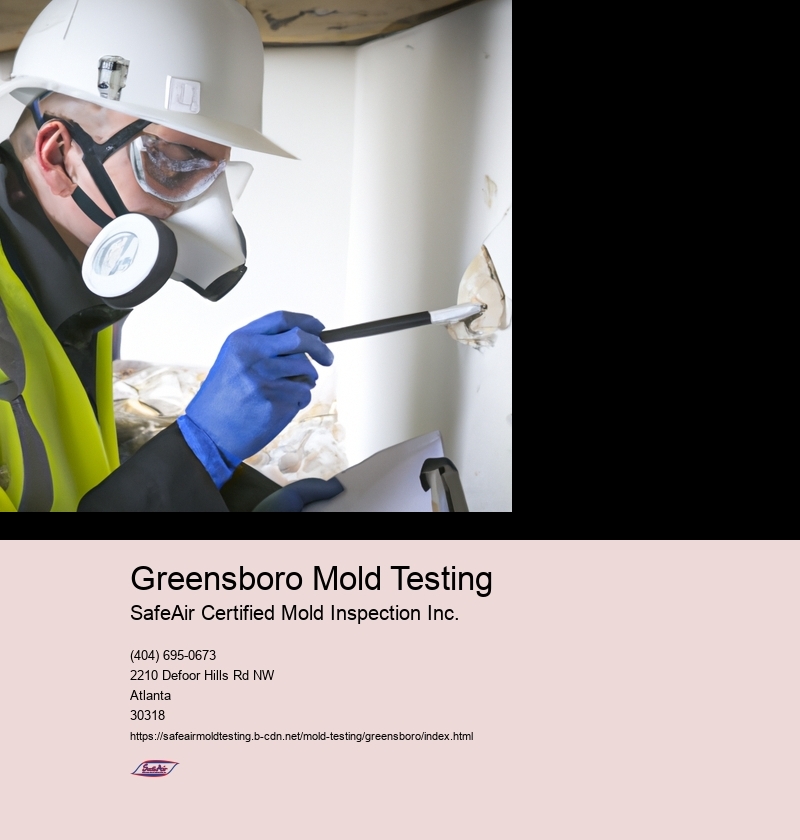 Greensboro Mold Testing